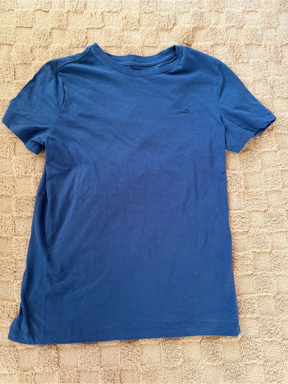 Classic Club Boys Blue Short Sleeve Logo T-Shirt Size 18/20